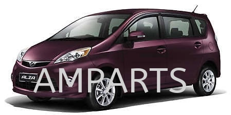 Alza 2009