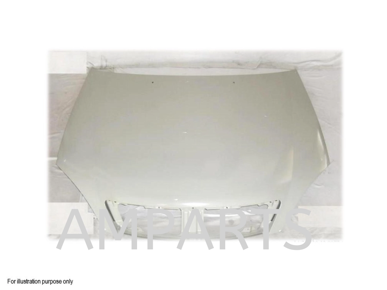 Nissan Sentra 2005 Bonnet